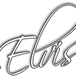 elvis-presley-4e43b5c301982.png