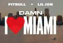 DAMN I LOVE MIAMI – Pitbull & Lil Jon